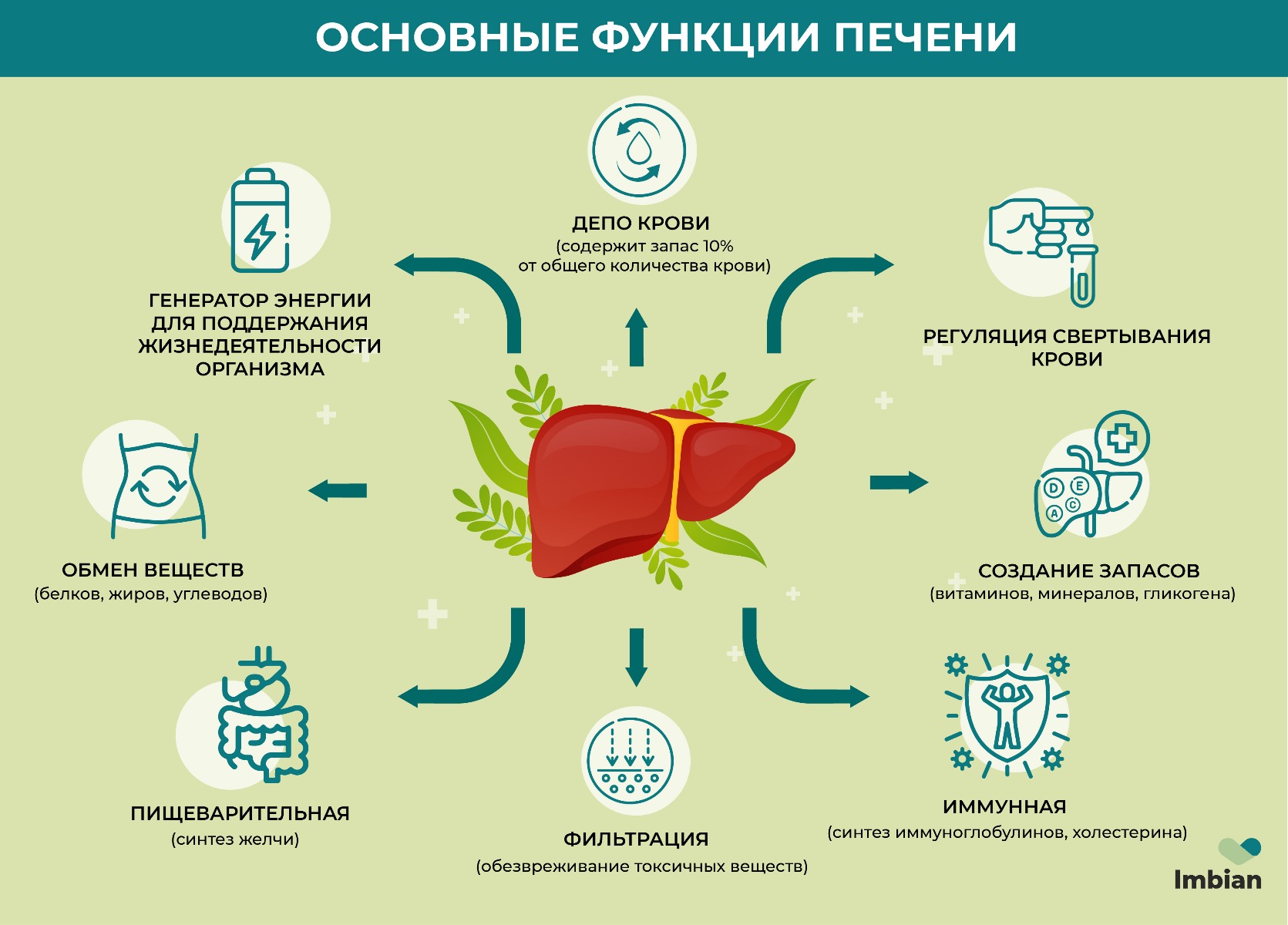 Как вылечить гепатит с навсегда в домашних условиях
