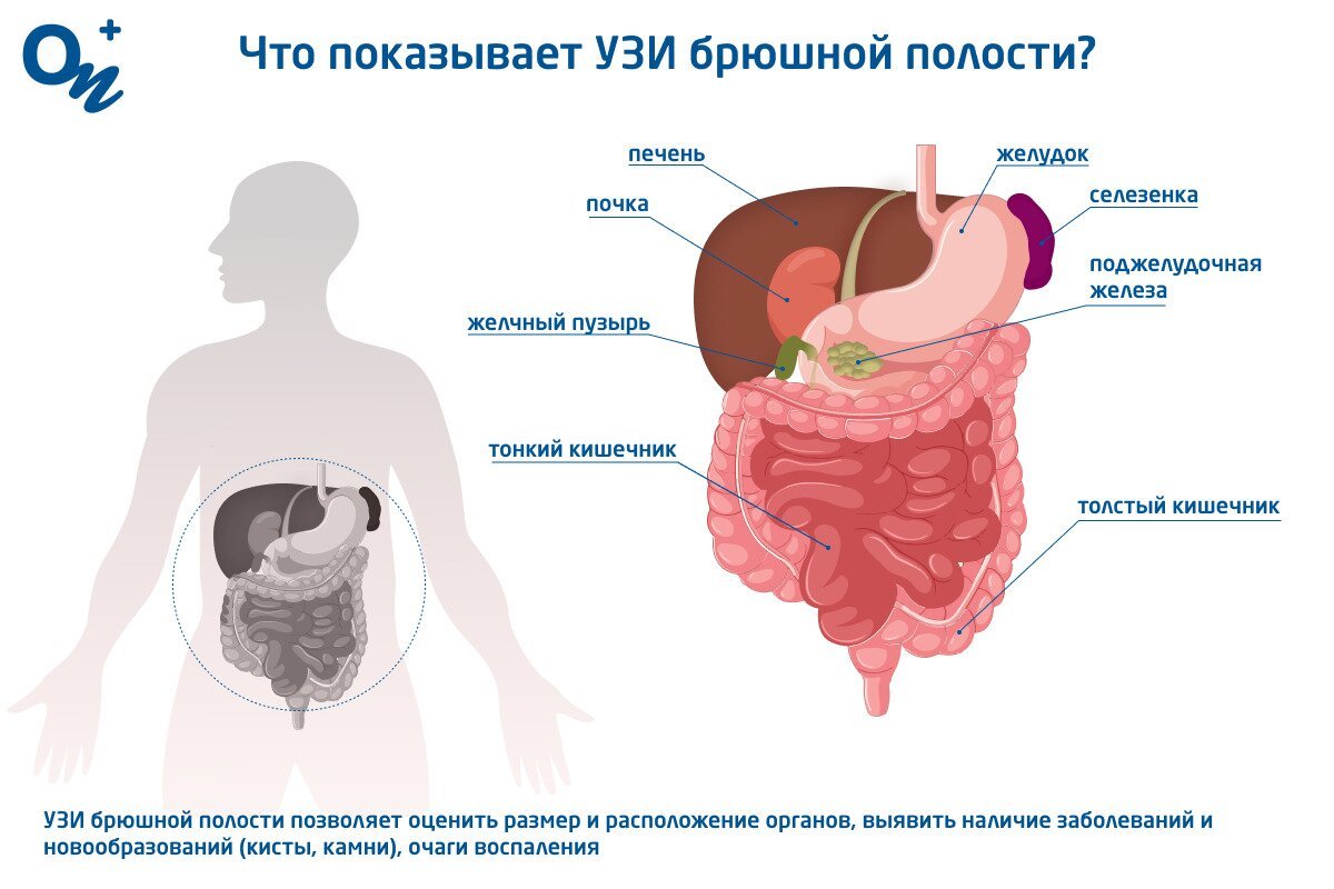 Курить перед узи брюшной полости