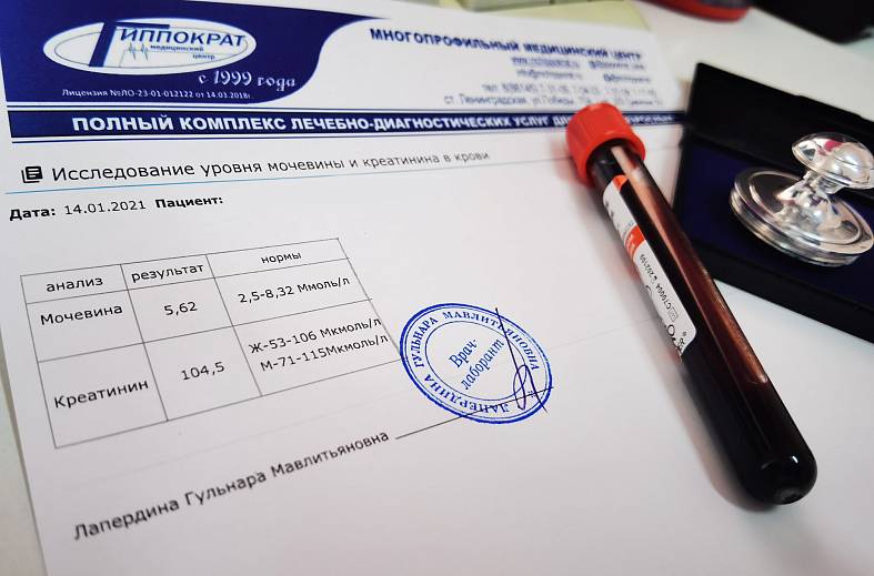 Мочевина и креатинин в крови