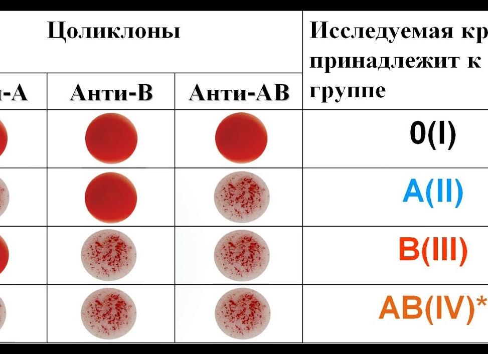 Как определить группу крови и резус фактор