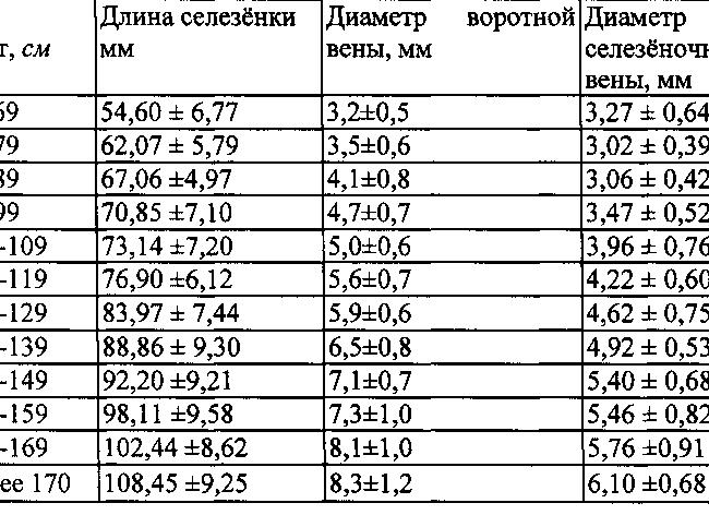 Диаметр селезеночной вены в норме Диаметр селезеночной вены в норме