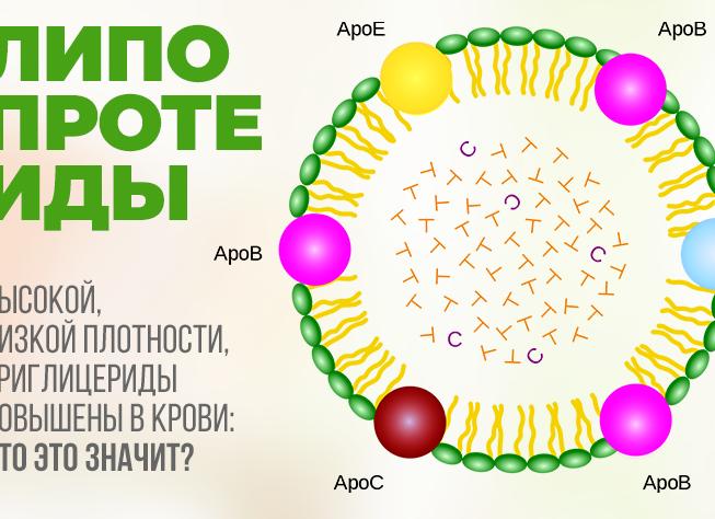 Что такое липопротеиды