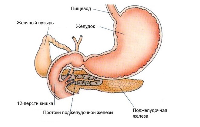 Альфа амилаза крови что это такое