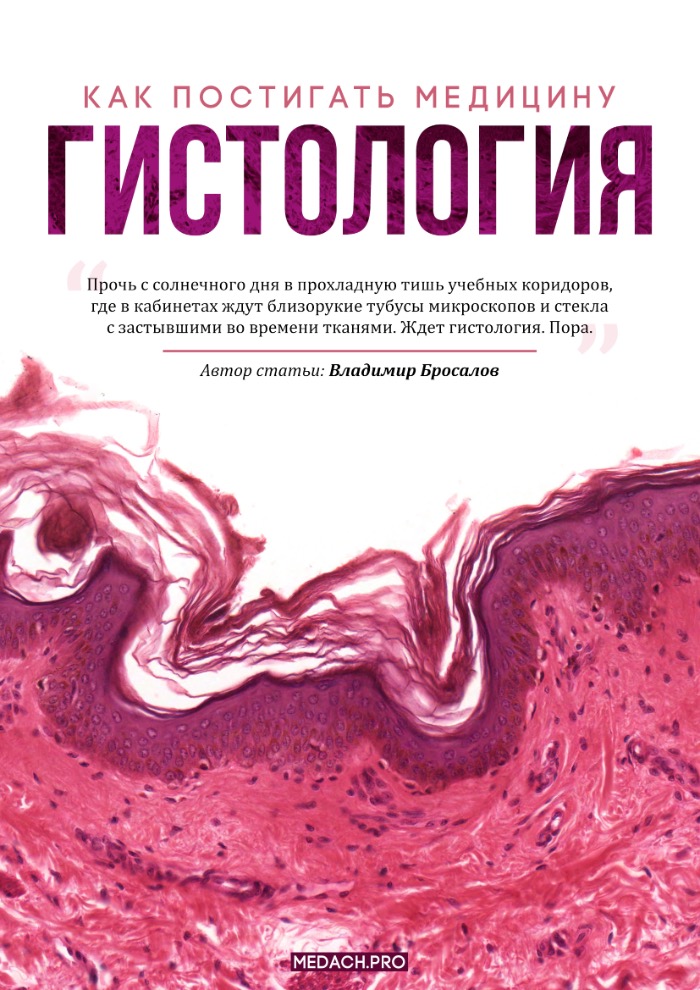 Гистология это что за анализ