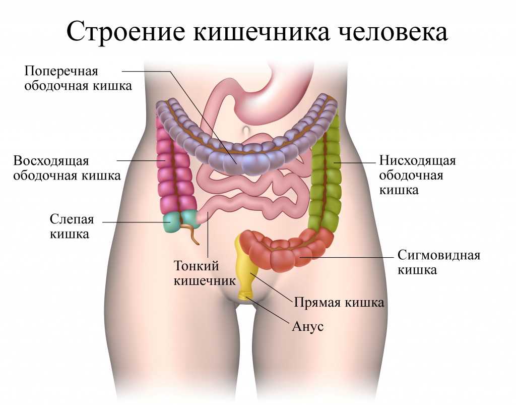 Колоректальный рак это