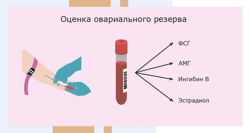 Можно ли сдавать кровь на гормоны при месячных