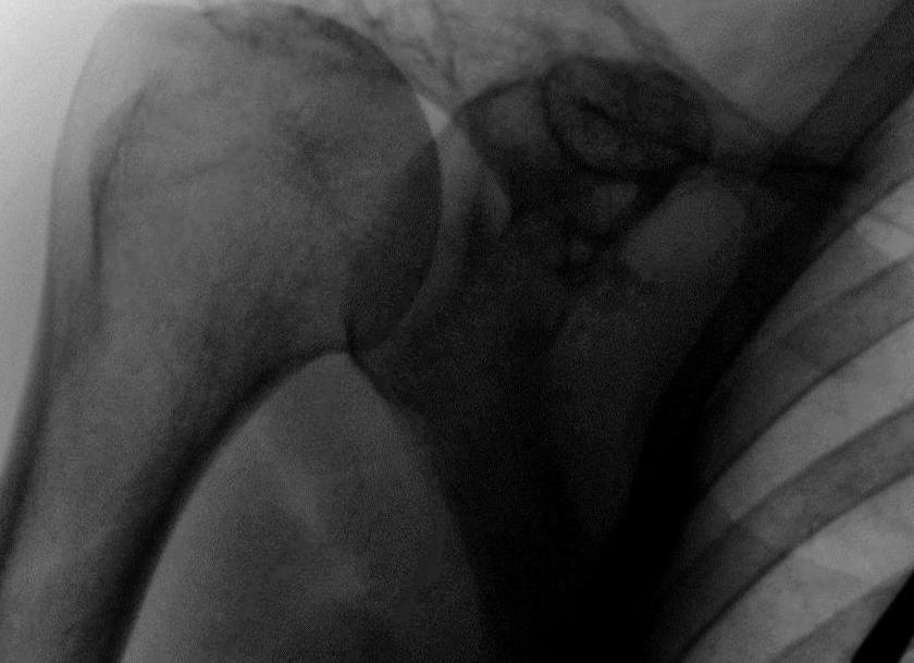 Ккф что такое Ккф что такое