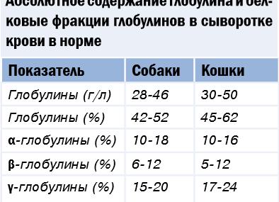 Границы нормального содержания белка в сыворотке крови