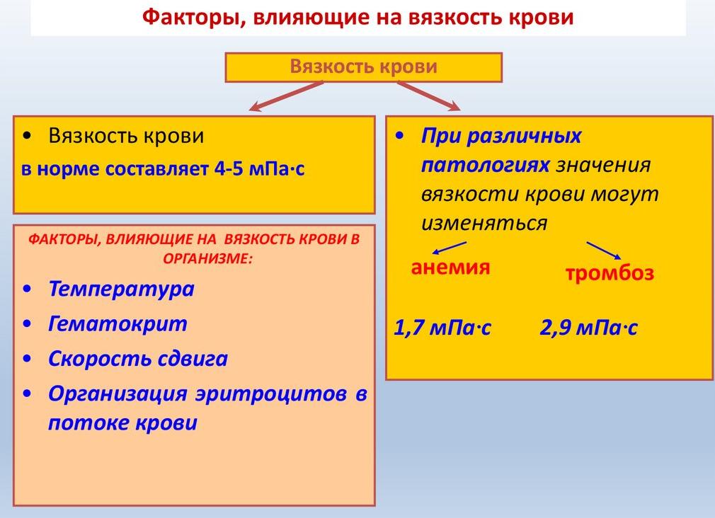 Факторы влияющие на вязкость крови в организме