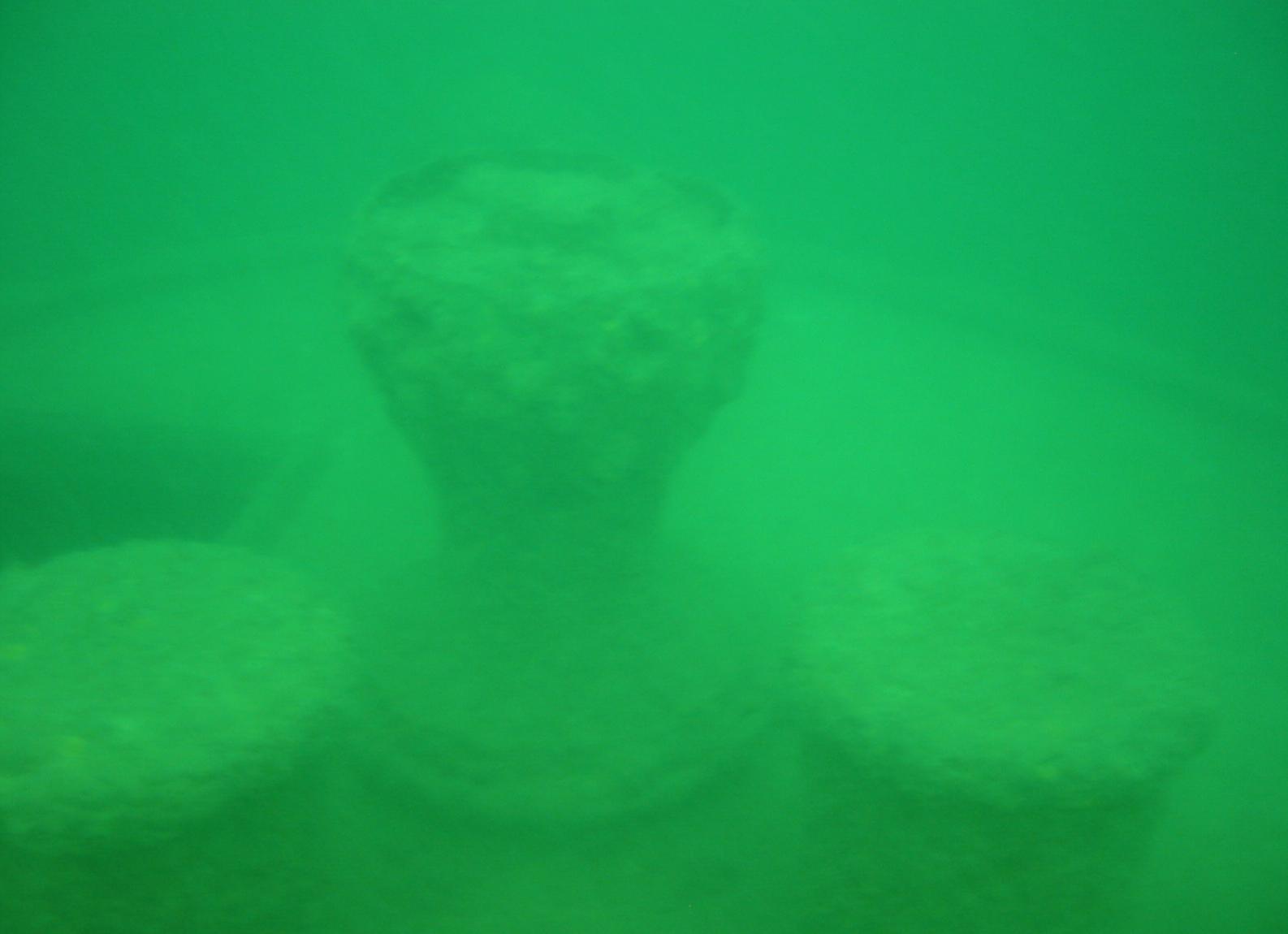 Что такое рэк