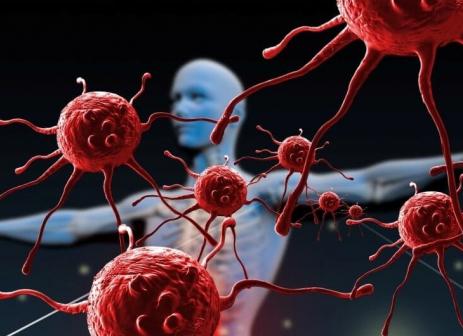 Что не входит в состав крови Что не входит в состав крови