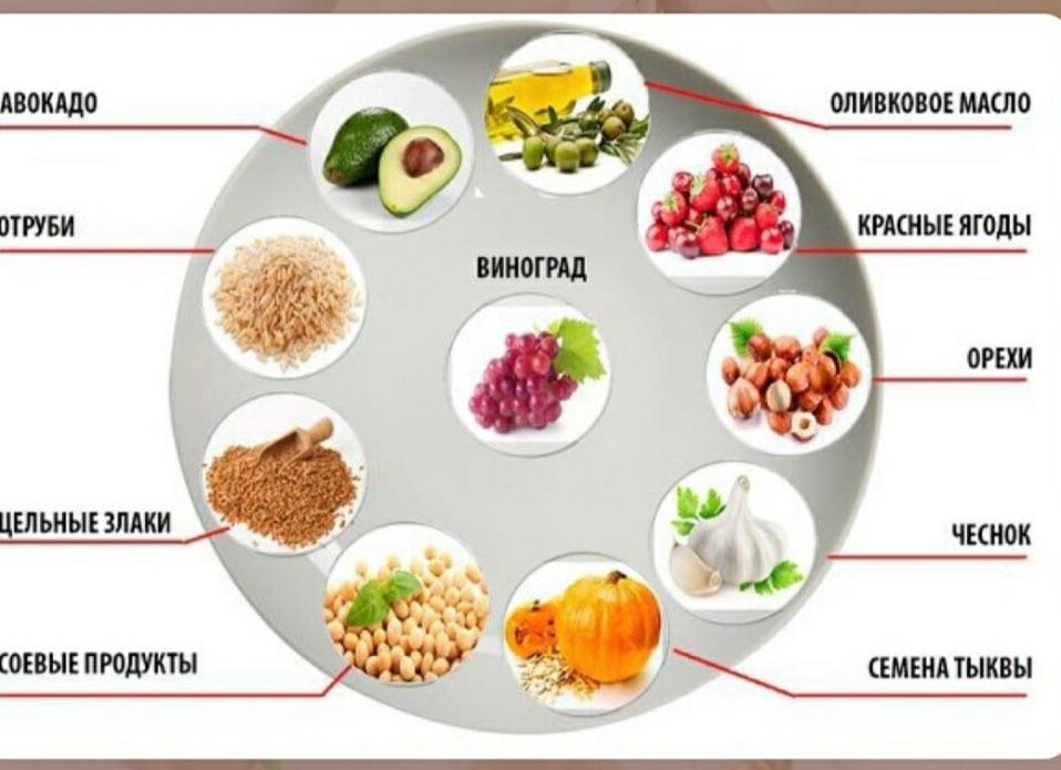 Что есть чтобы снизить холестерин в крови