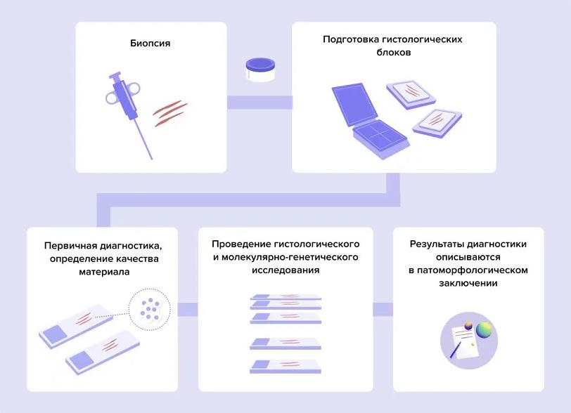 Биопсийный материал это