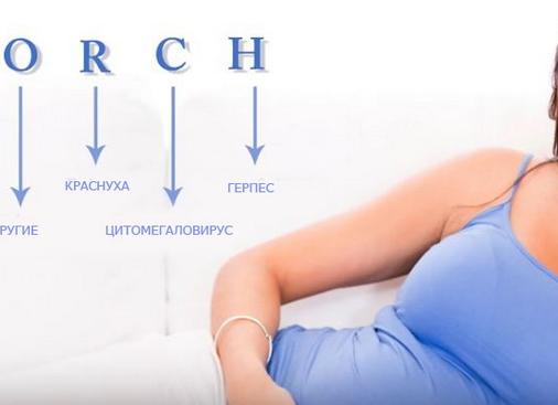 Анализ крови на торч инфекции Анализ крови на торч инфекции