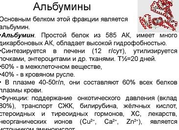 Альбумин повышен в крови