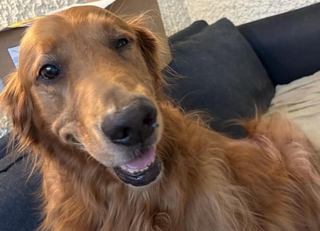 Мрт где пройти