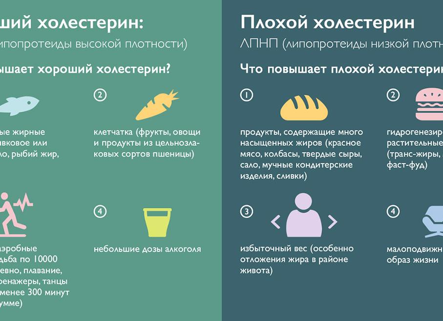 Лпнп повышен что это значит