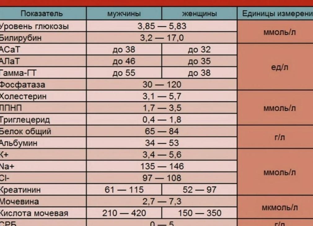 Какие показатели в биохимическом анализе крови