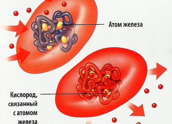 Эритроциты что это такое