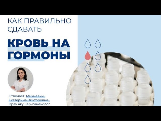 Как правильно сдавать кровь