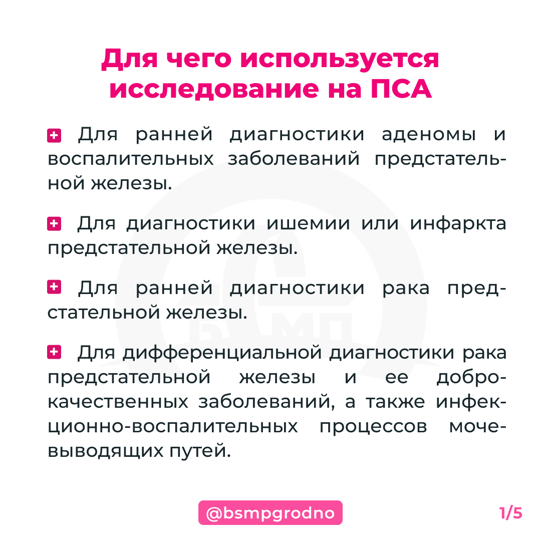 Кровь на пса