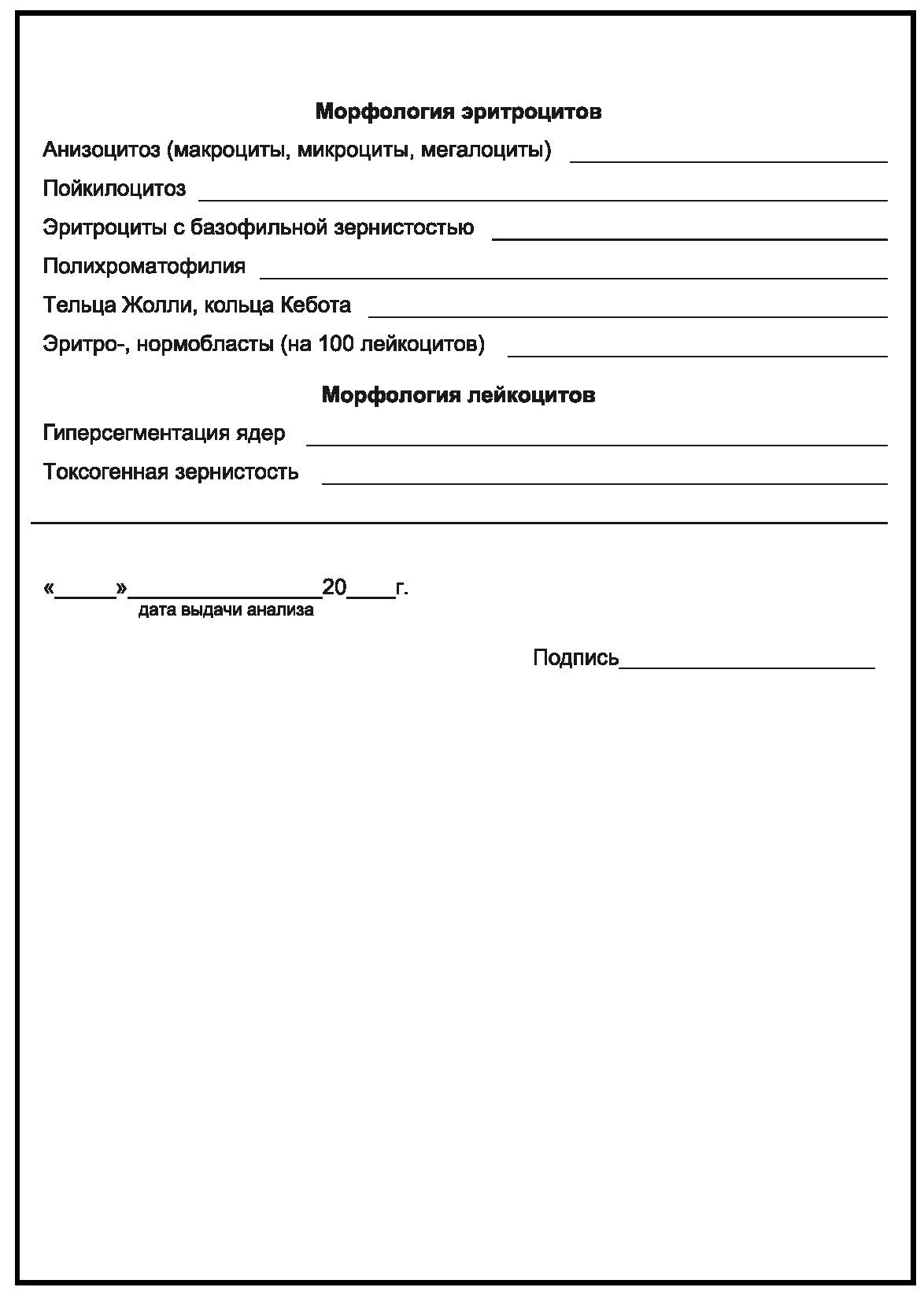 Макроциты в анализе крови