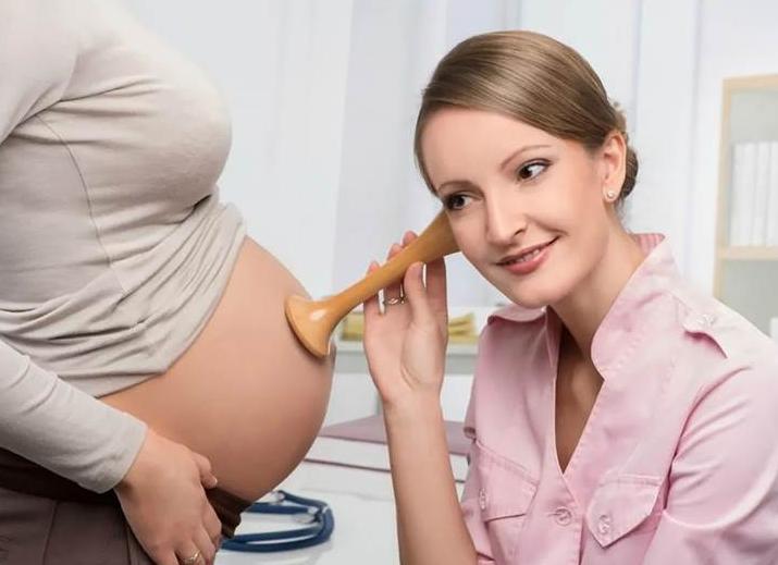 Когда начинается сердцебиение у плода акушерский срок