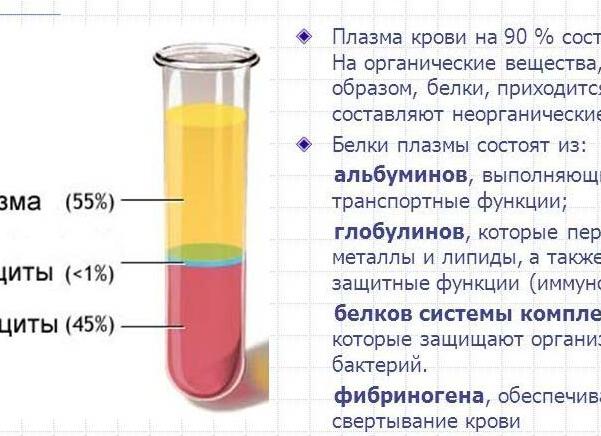 Чем отличается сыворотка от плазмы Чем отличается сыворотка от плазмы