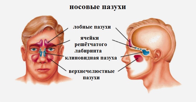 Киста верхнечелюстной пазухи