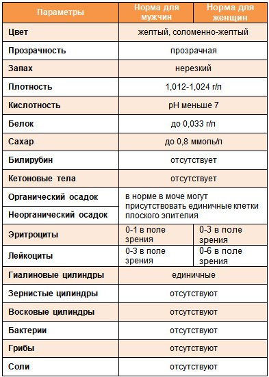 Лейкоциты в моче норма
