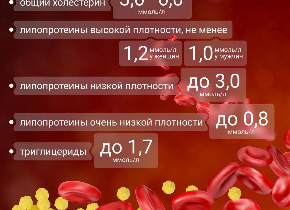 Холестерин высокой плотности повышен