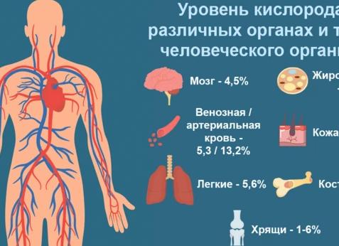 Эритроциты в крови как снизить