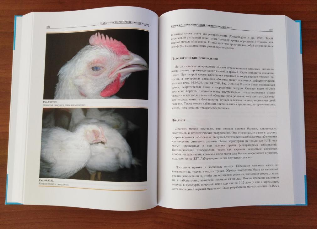 Диагноз пти что это