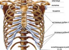 Болят ребра под молочной железой Болят ребра под молочной железой