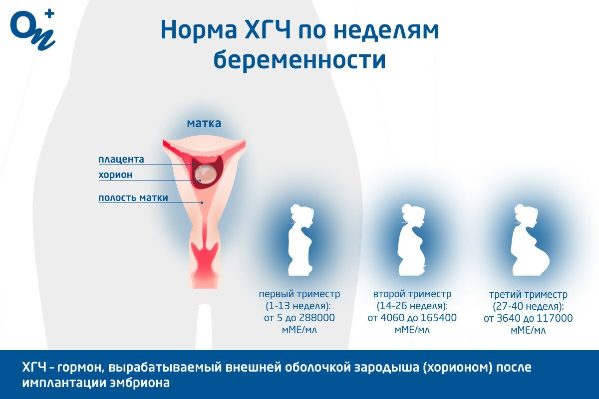 Анализ хгч как сдавать натощак или нет