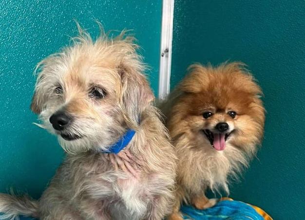 Месяца 2 назад