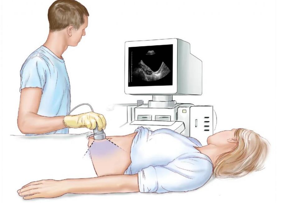 Как правильно подготовиться к узи печени