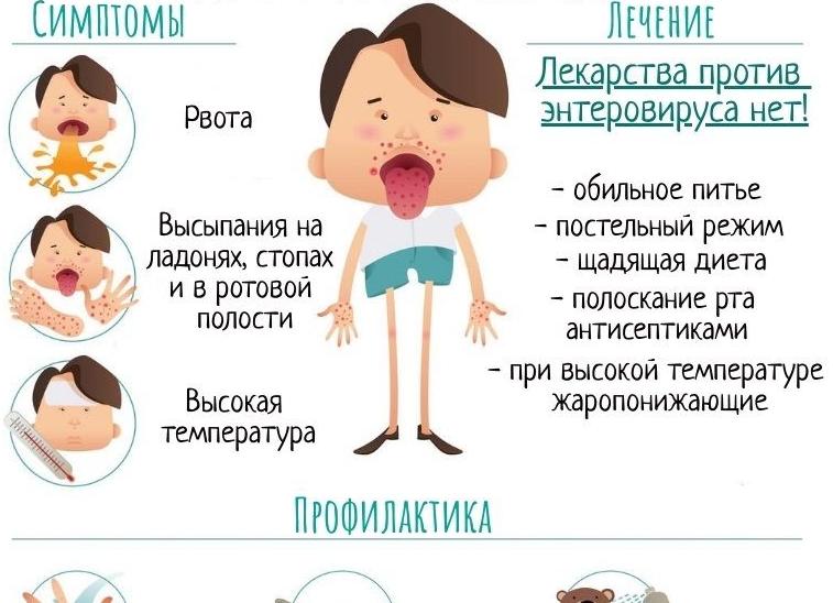 Как инфекция передается Как инфекция передается