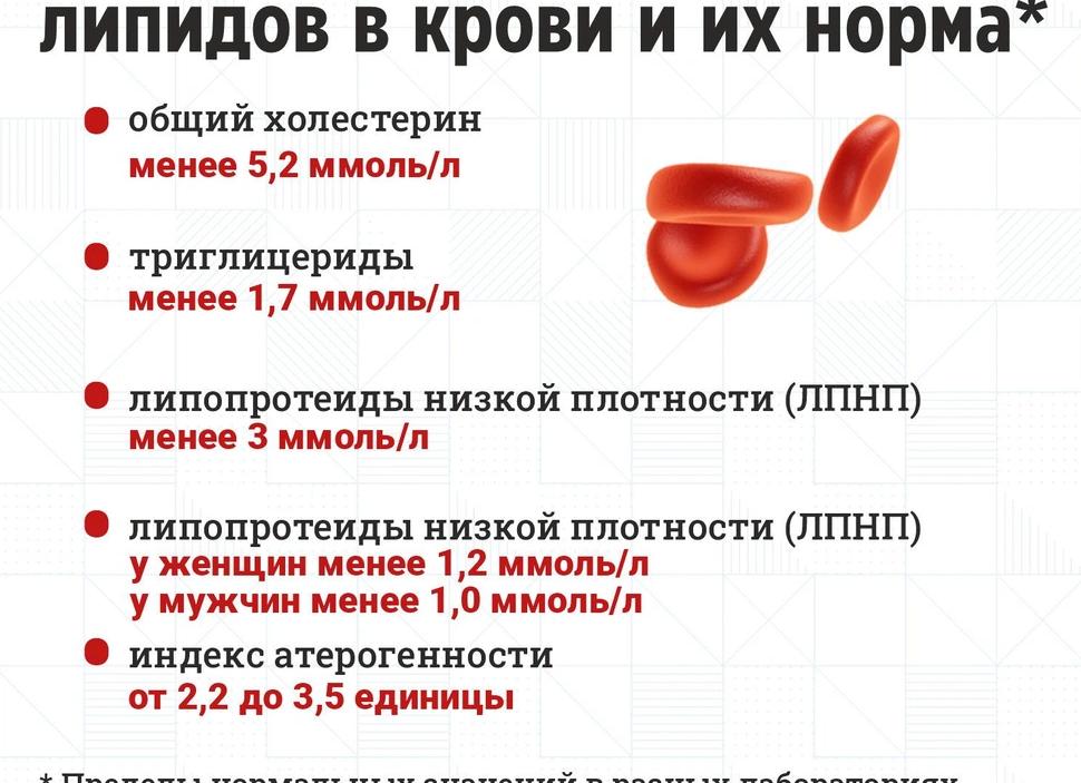 Индекс атерогенности повышен причины