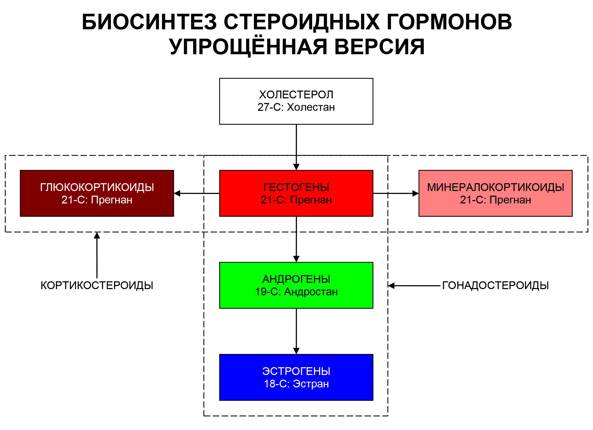 Гормоны женских половых органов