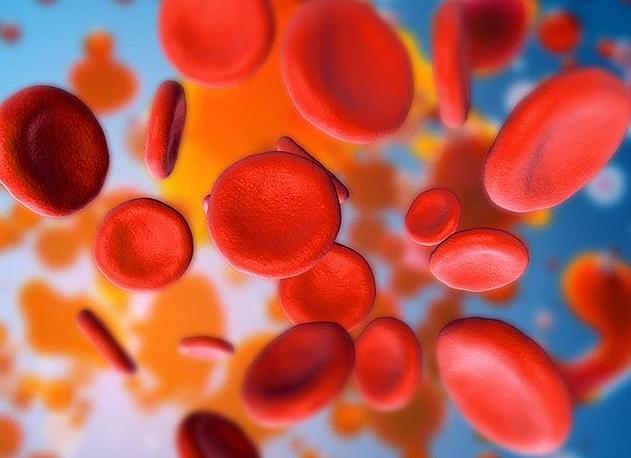 Гематокрит понижен что это у женщин