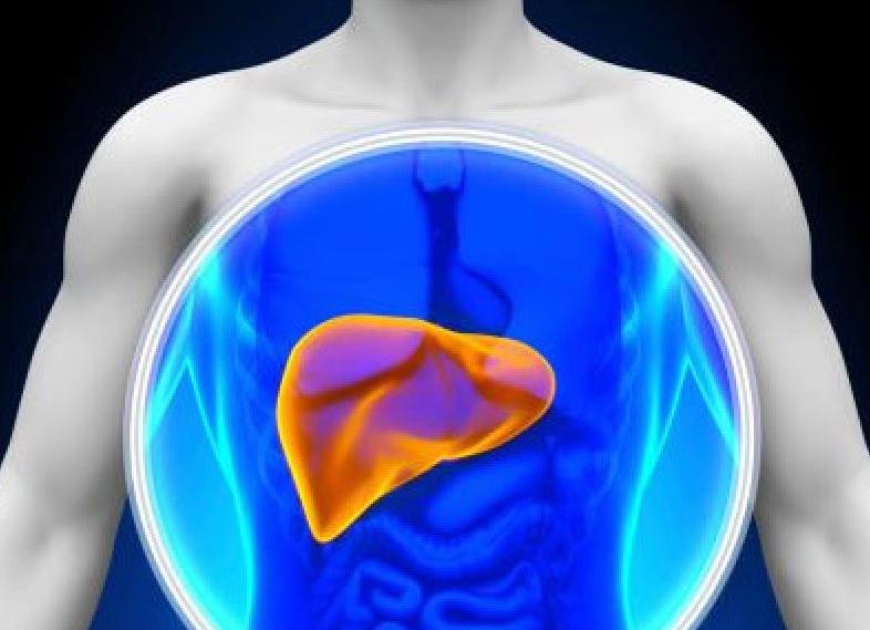 Что такое гепатомегалия умеренная