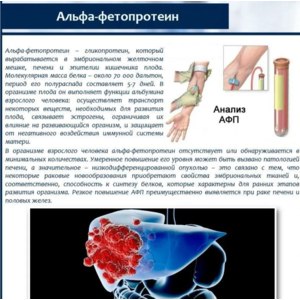 Альфафетопротеин афп норма у женщин