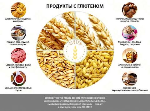 Анализ крови на глютен