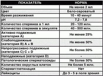 Как сдается спермограмма