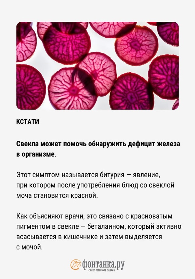 Может ли от винегрета быть красная моча