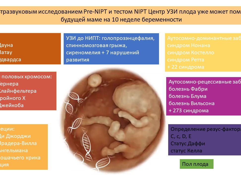 Какие патологии выявляет первый скрининг