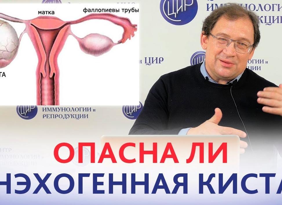 Анэхогенное образование в яичнике что это такое