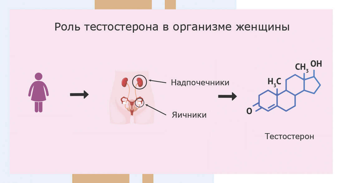 Как понизить уровень тестостерона