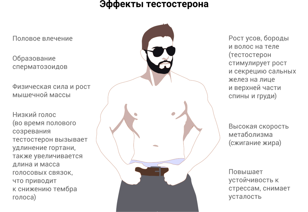 Как снизить уровень тестостерона у мужчин